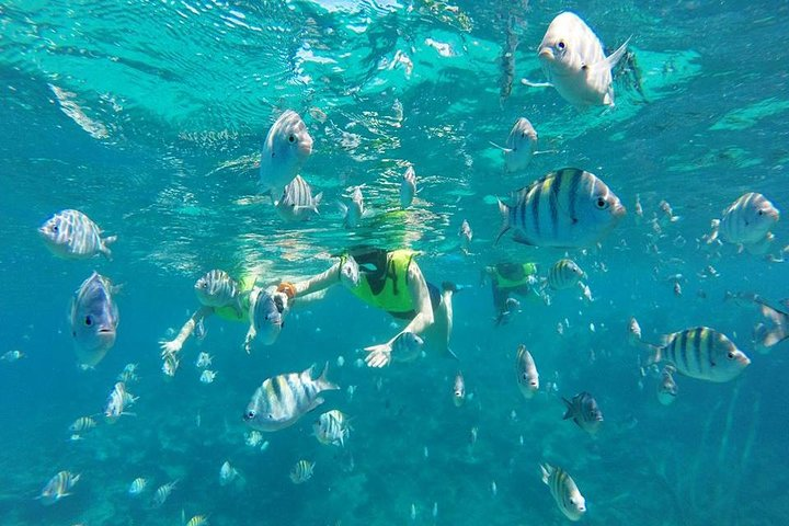 Discover Sosua's Underwater World & Beach Day - Photo 1 of 8